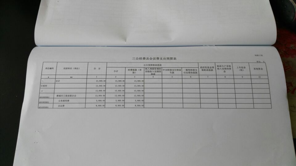 QQ图片20180625101309   三公经费及会议费支出预算表.jpg