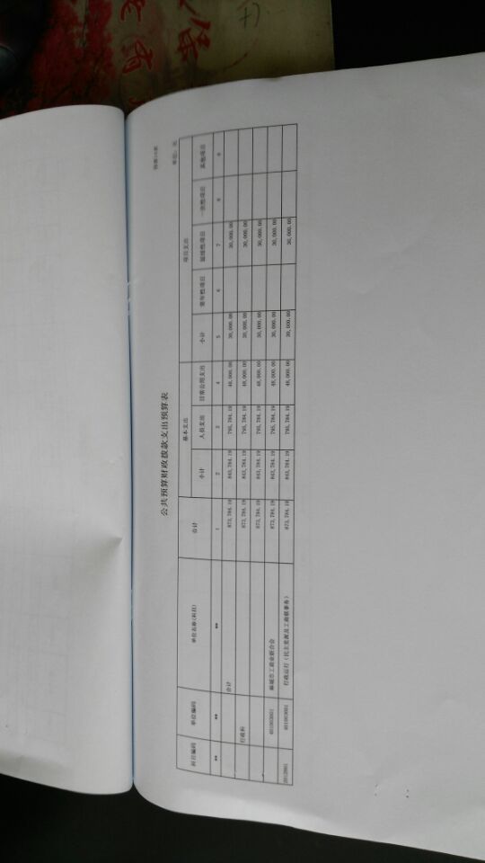 QQ图片20180625101246 公共预算财政拨款支出预算表.jpg