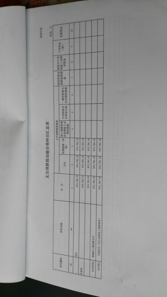 QQ图片20180625101236  支出预算按功能分类科目汇总表.jpg