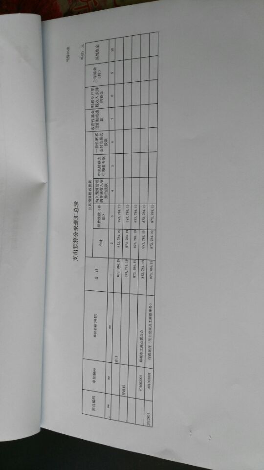 QQ图片20180625101106  支出预算分来源汇总表.jpg